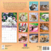 Cat Naps 2026 Wall Calendar - Image 2