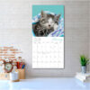 Cat Naps 2026 Wall Calendar - Image 3