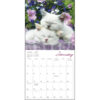 Cat Naps 2026 Wall Calendar - Image 4