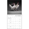 Glamour Chicks 2026 Wall Calendar - Image 5