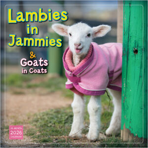 Lambies in Jammies 2026 Wall Calendar