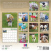 Lambies in Jammies 2026 Wall Calendar - Image 2