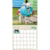 Lambies in Jammies 2026 Wall Calendar - Image 5