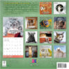 Meow Memes 2026 Wall Calendar - Image 2