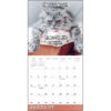 Meow Memes 2026 Wall Calendar - Image 4