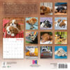 Pooped Puppies 2026 Wall Calendar - Image 2
