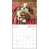 Pooped Puppies 2026 Wall Calendar - Image 4