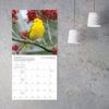 Songbirds of North America 2026 Wall Calendar - Image 3