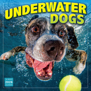 Underwater Dogs 2026 Wall Calendar