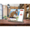 The Daily Hunk 2026 Daily Calendar - Image 4