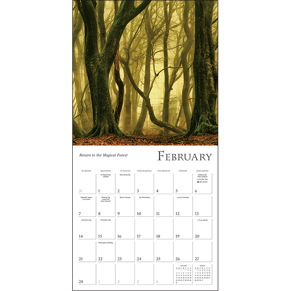 Enchanted Pathways 2027 Wall Calendar - Image 3