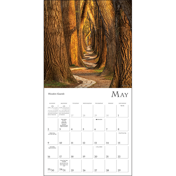 Enchanted Pathways 2027 Wall Calendar - Image 4