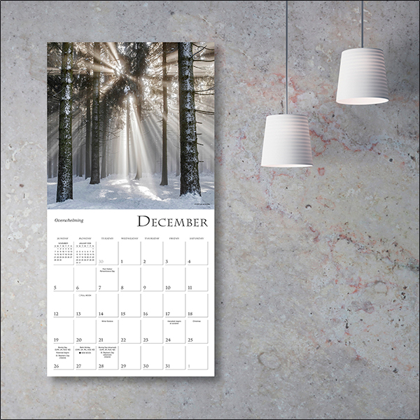 Enchanted Pathways 2027 Wall Calendar - Image 5