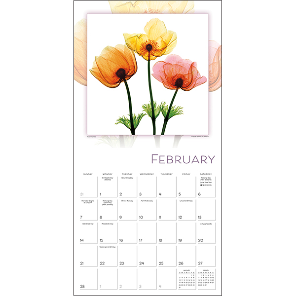 Flower Spirits 2027 Wall Calendar - Image 5