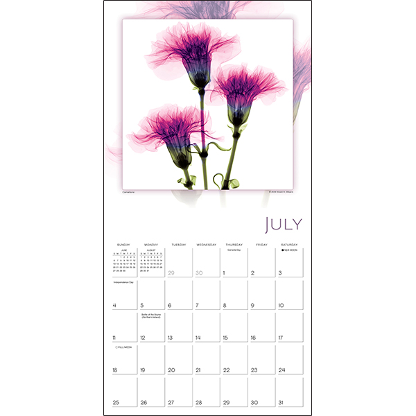 Flower Spirits 2027 Wall Calendar - Image 4