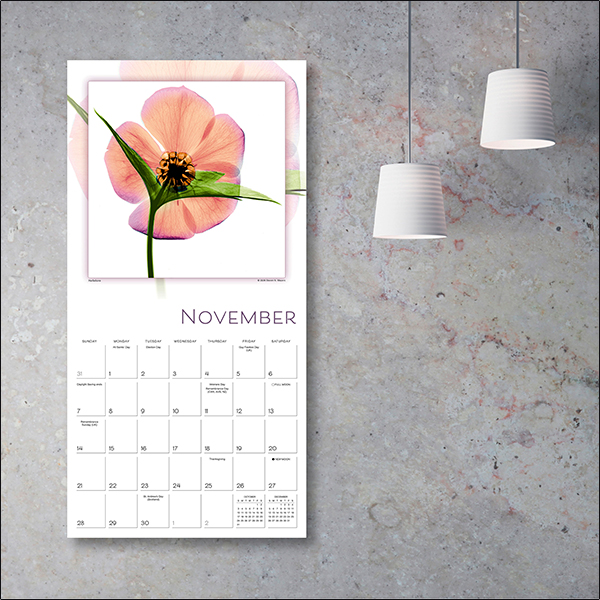 Flower Spirits 2027 Wall Calendar - Image 3