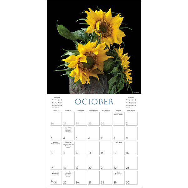 The Joy of Flowers 2027 Wall Calendar - Image 4
