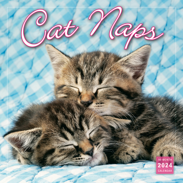 Cat Nap Undated Planner