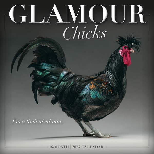 Glamour Chicks 2024 Wall Calendar RSVP