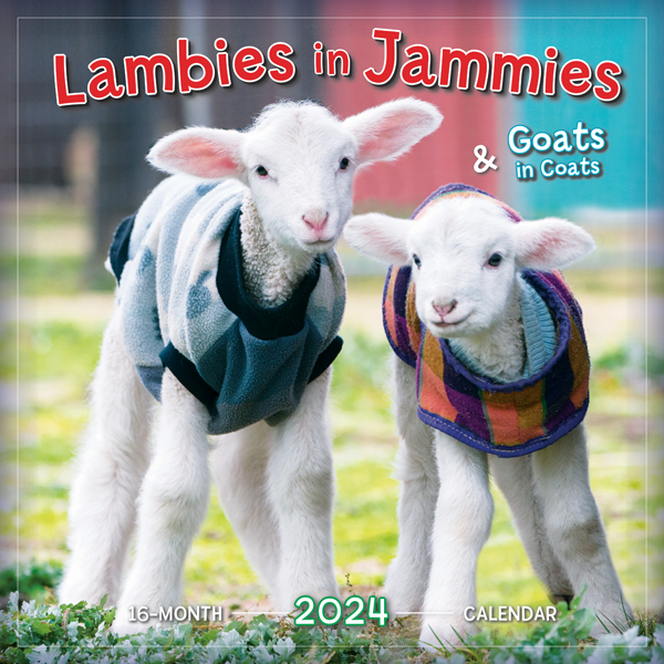 Lambies in Jammies 2024 Wall Calendar RSVP