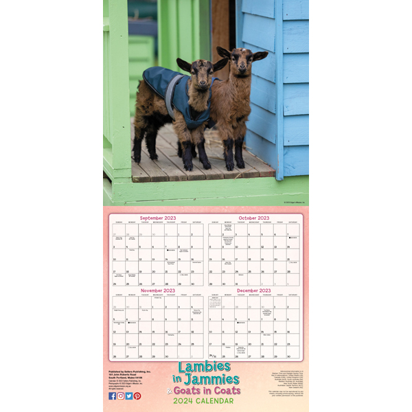 Lambies in Jammies 2024 Wall Calendar RSVP
