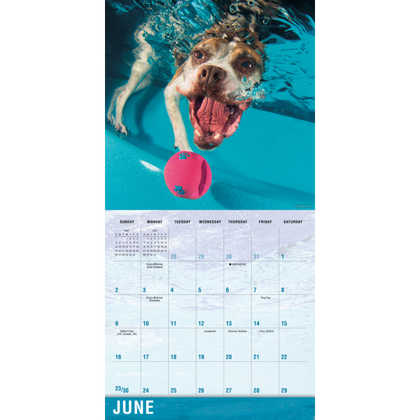 Underwater Dogs 2024 Wall Calendar RSVP