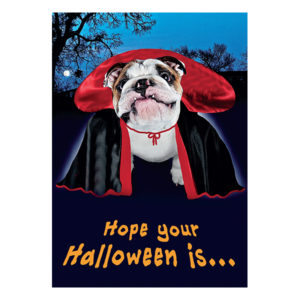 Halloween - Humor - HL3084