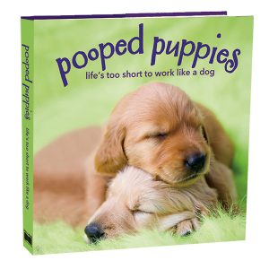 Pooped Puppies