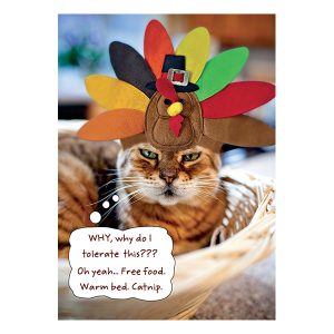 Thanksgiving - TG3079A