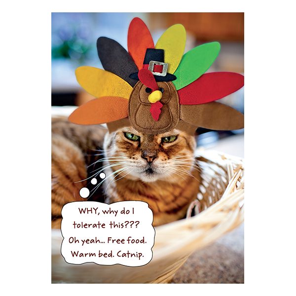 Thanksgiving - TG3079A