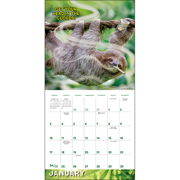 Stoner Sloths 2027 Wall Calendar - Image 3