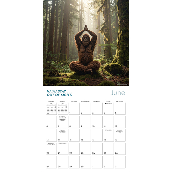 Yeti Yoga 2027 Wall Calendar - Image 4
