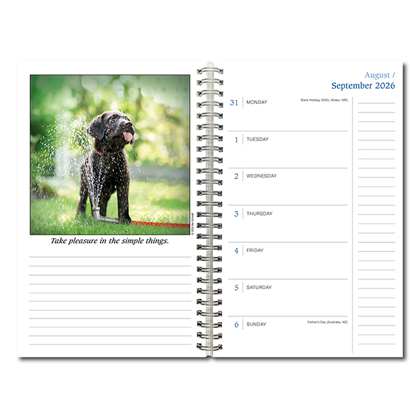 Dogma 2027 Weekly Planner - Image 3