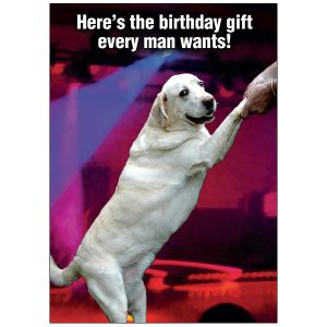 Birthday For Him by RSVP