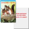 Birthday by RSVP