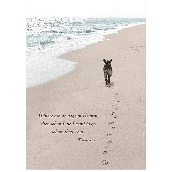 Pet Sympathy by RSVP