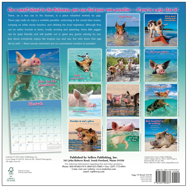 Pigs in Paradise 2020 Wall Calendar RSVP