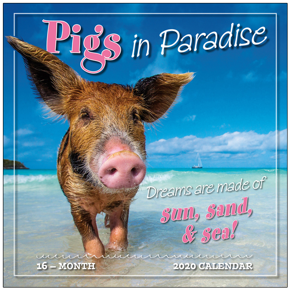 Pigs in Paradise 2020 Wall Calendar RSVP