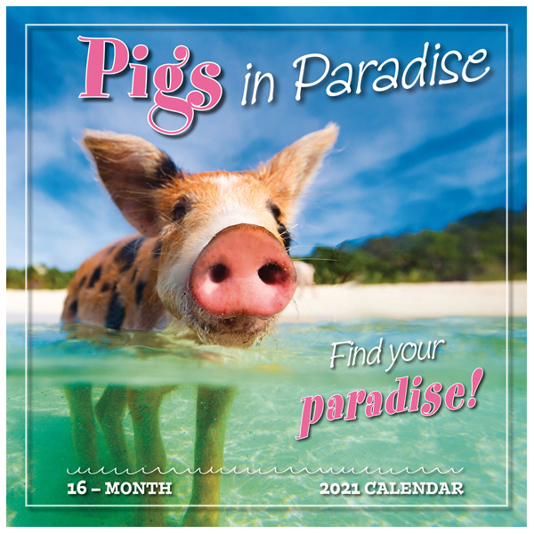 Pigs in Paradise 2021 Wall Calendar RSVP