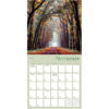 Enchanted Pathways 2026 Wall Calendar - Image 5