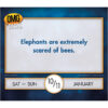 OMG Facts 2026 Daily Calendar - Image 2