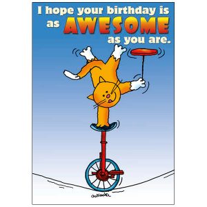 RSVP Birthday Humor - B7368