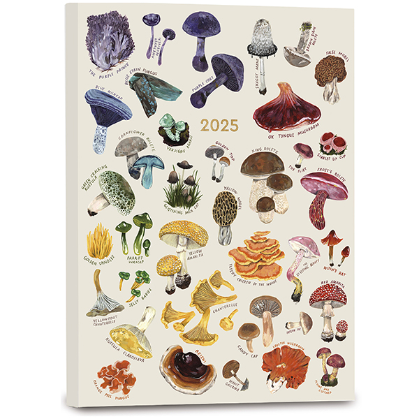 Cavallini Mushrooms 2025 Pocket Weekly Planner - 4x6 Inch Vintage Style Organizer