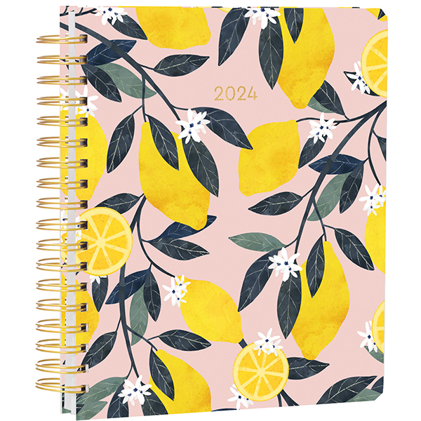2024 Deluxe Hardcover Planner by Ana Martinez RSVP