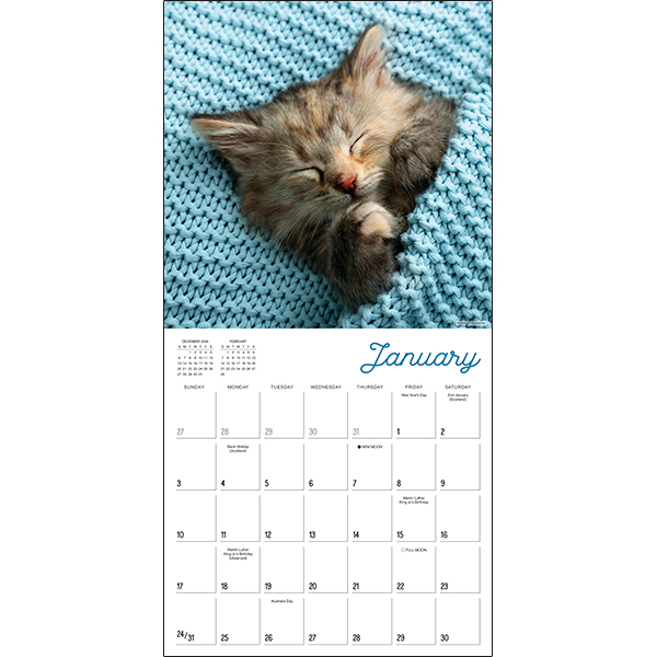 Cat Naps 2027 Wall Calendar - Image 3