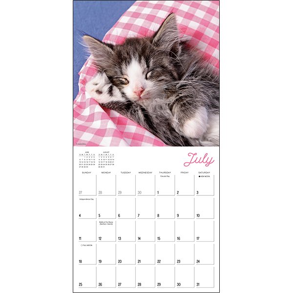 Cat Naps 2027 Wall Calendar - Image 4