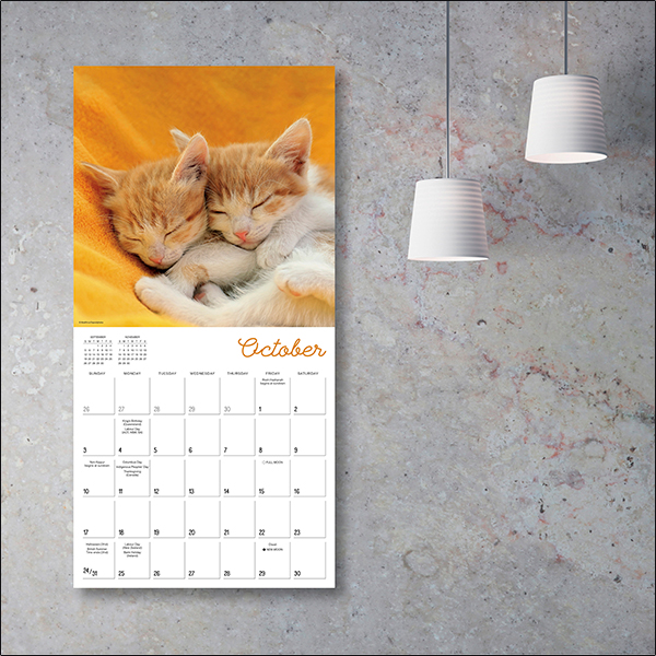 Cat Naps 2027 Wall Calendar - Image 5