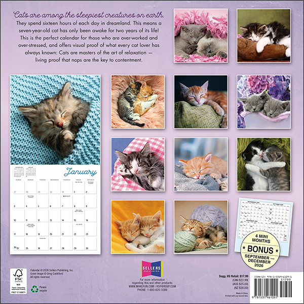 Cat Naps 2027 Wall Calendar - Image 2
