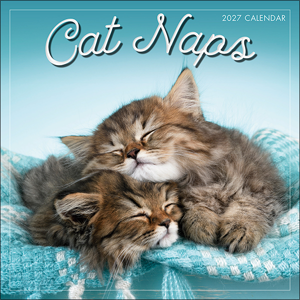Cat Naps 2027 Wall Calendar