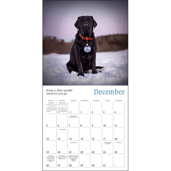 Dogma 2027 Wall Calendar - Image 4